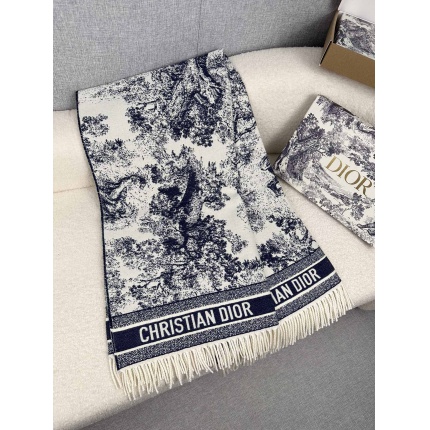 New Arrivals Dior Cashmere Scarf in 200249