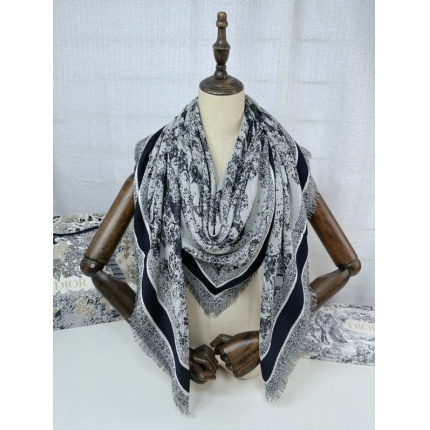 New Arrivals Dior Cashmere Scarf in 200250