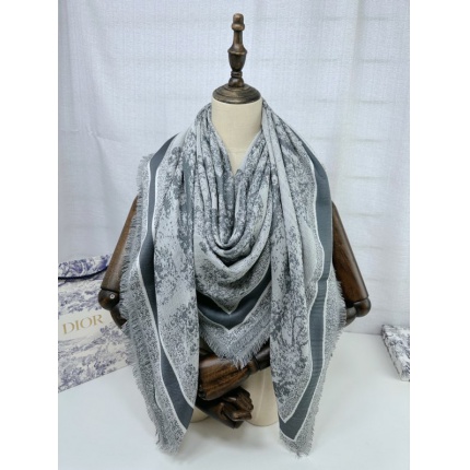 New Arrivals Dior Cashmere Scarf in 200252