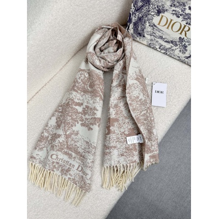 New Arrivals Dior Cashmere Scarf in 200276