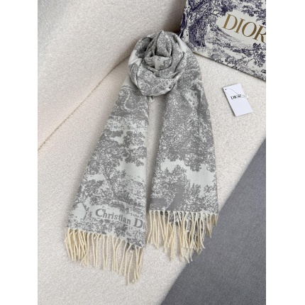 New Arrivals Dior Cashmere Scarf in 200277