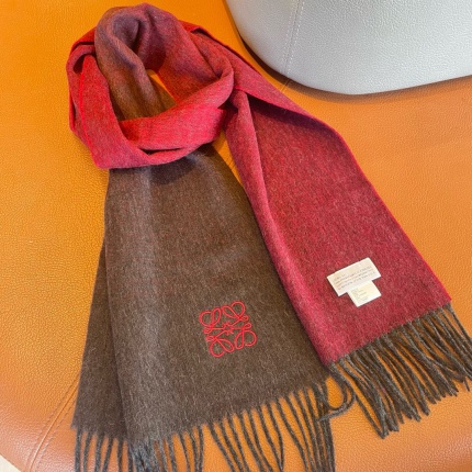 New Arrivals Loewe Cashmere Scarf in 200453