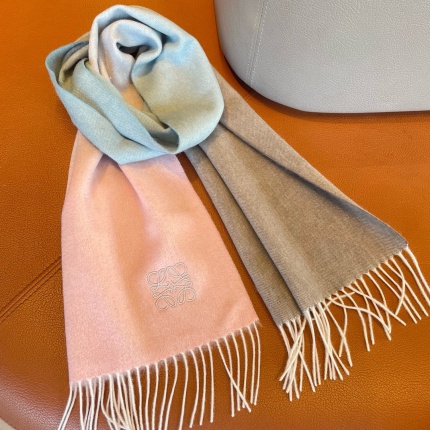 New Arrivals Loewe Cashmere Scarf in 200454