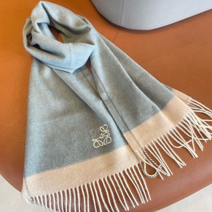 New Arrivals Loewe Cashmere Scarf in 200458