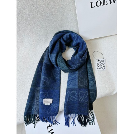 New Arrivals Loewe Cashmere Scarf in 200464