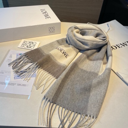 New Arrivals Loewe Cashmere Scarf in 200466