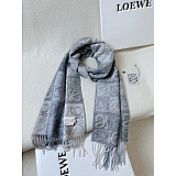 New Arrivals Loewe Cashmere Scarf in 200462