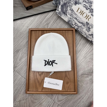 Dior Knit Hats in 201122