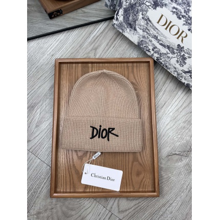 Dior Knit Hats in 201123