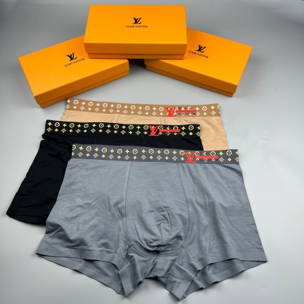 New Arrivals Louis Vuitton Underwear For Men A Pack in 201843