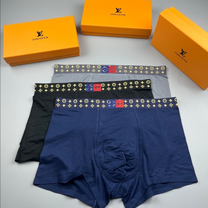 New Arrivals Louis Vuitton Underwear For Men A Pack in 201844