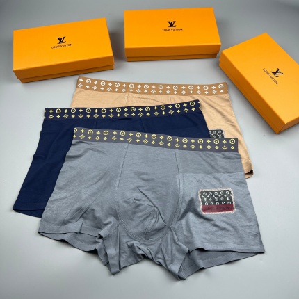 New Arrivals Louis Vuitton Underwear For Men A Pack in 201845