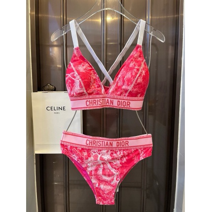 New Arrivals Dior Bikini Swimsuit in 202517