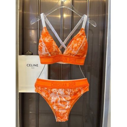 New Arrivals Dior Bikini Swimsuit in 202519