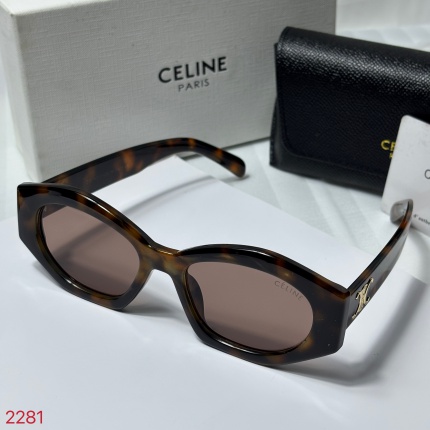Cheap Celine Sunglasses in 202748