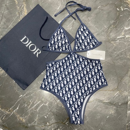 New Arrivals Dior Bikini Swimsuit in 203945
