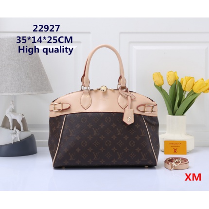 Louis Vuitton Handbags in 204691
