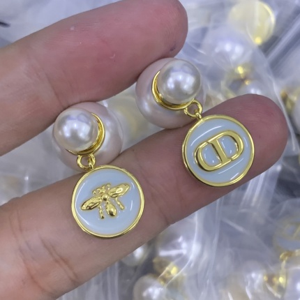 Dior Earring in 204750