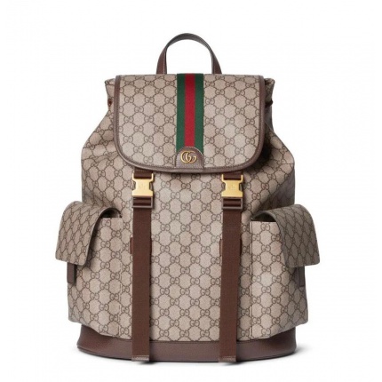 Gucci AAA+++ quality Backpack in 205986