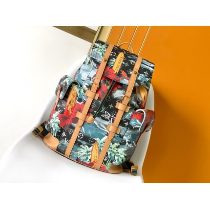 Louis Vuitton AAA quality Backpacaks in 206104