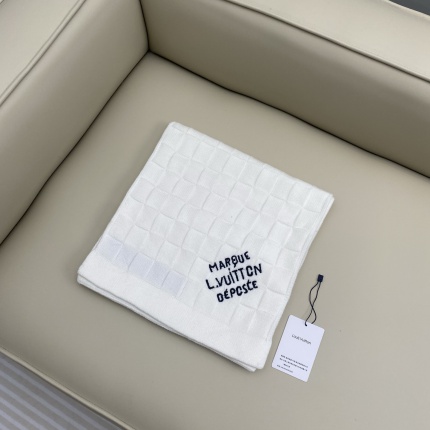 New Arrivals Louis Vuitton Warm Scarf in 206739