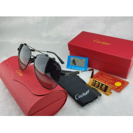 Cartier Sunglasses in 206999