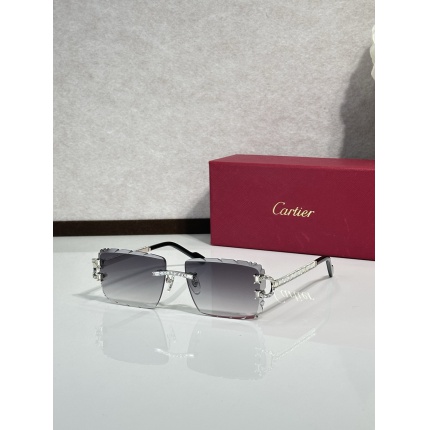 Cartier AAA+++ quality opticals Glasses in 207095