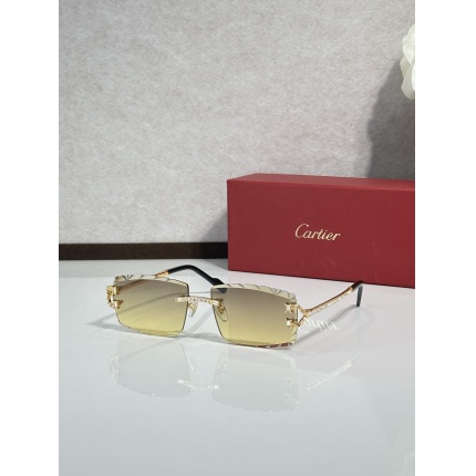 Cartier AAA+++ quality opticals Glasses in 207096