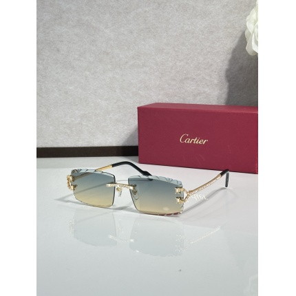 Cartier AAA+++ quality opticals Glasses in 207098