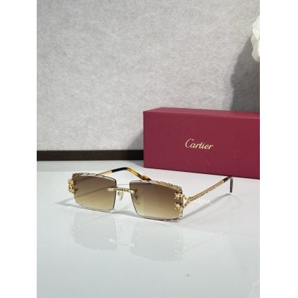 Cartier AAA+++ quality opticals Glasses in 207099