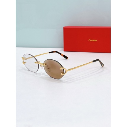 Cartier AAA+++ quality opticals Glasses in 207104