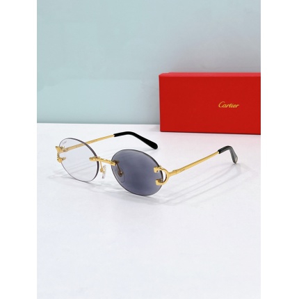 Cartier AAA+++ quality opticals Glasses in 207105