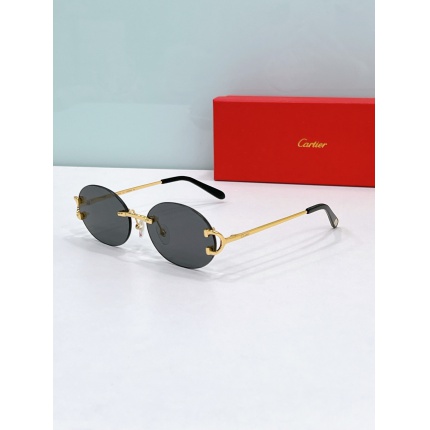 Cartier AAA+++ quality opticals Glasses in 207106