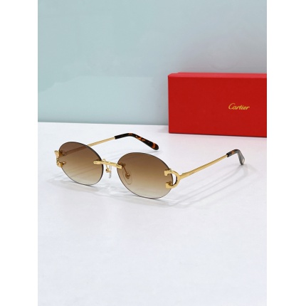 Cartier AAA+++ quality opticals Glasses in 207109