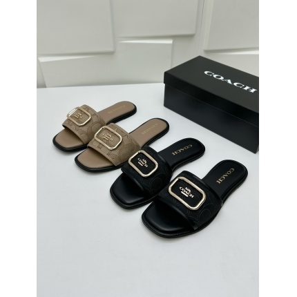 new Women Coach Slippers  size 35-40 in 208612