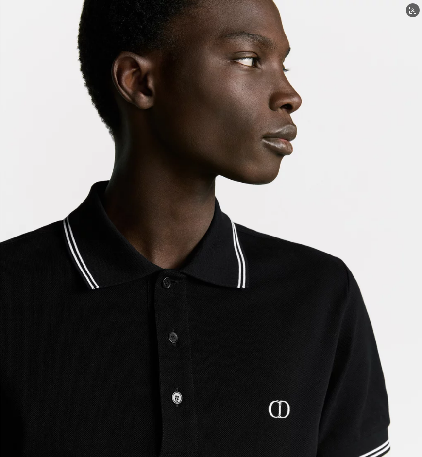 Cheap Dior Polo T -Shirts for Men in 208376, $25 USD- [IB208376] - Replica Dior Polo T -Shirts for Men