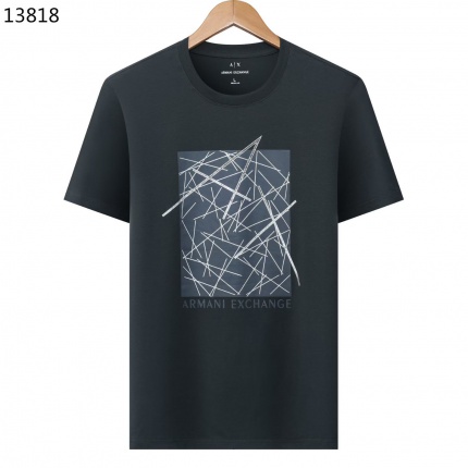Armani T-shirts in 208871