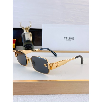 Celine Glasses in 209200