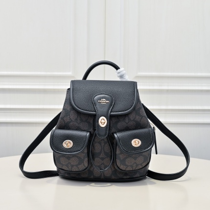 Coach AAA Backpack Bags in 210333