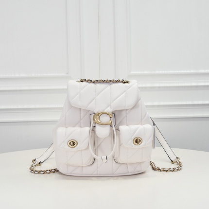 Coach AAA Backpack Bags in 210334