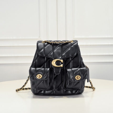 Coach AAA Backpack Bags in 210335
