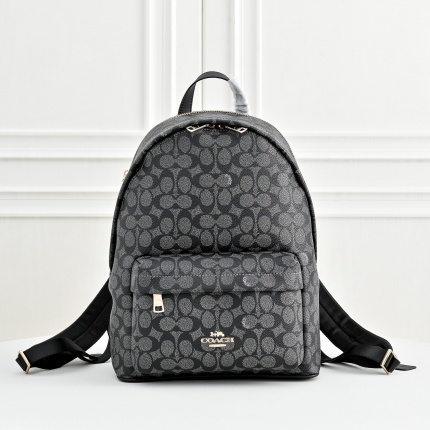 Coach AAA Backpack Bags in 210344