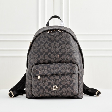Coach AAA Backpack Bags in 210345