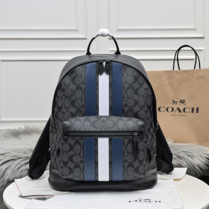 Coach AAA Backpack Bags in 210385