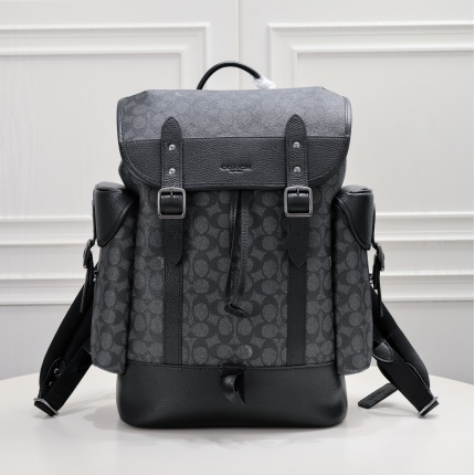 Coach AAA Backpack Bags in 210387
