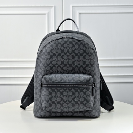 Coach AAA Backpack Bags in 210390