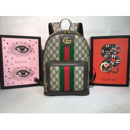 Gucci AAA+++ quality Backpack in 210626