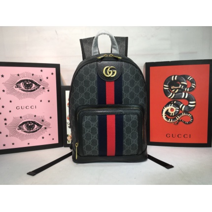 Gucci AAA+++ quality Backpack in 210627