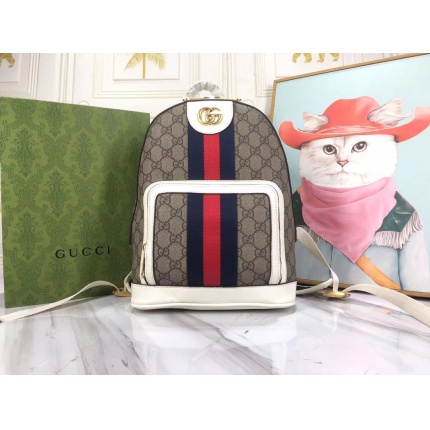 Gucci AAA+++ quality Backpack in 210629