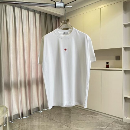 Dior T-shirts in 210924